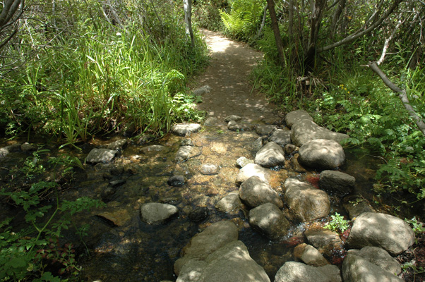 Soberanes Canyon 047.jpg